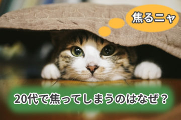 なんか生きるのがしんどい代へ 疲れたときどう生きるのがよいか みにくろぅ